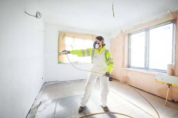 Mold Odor Removal Services in Jemez Pueblo, NM