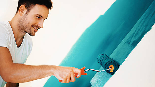 Best Mold Odor Removal Services  in Jemez Pueblo, NM
